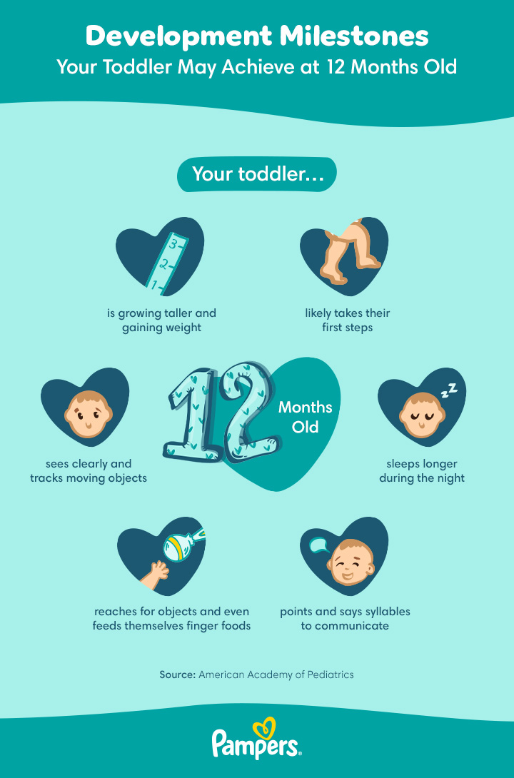 12 Month Old Baby Milestones Sleep and Feeding Pampers