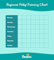 Potty Training Schedule Chart Printable Potty Training 45 OFF