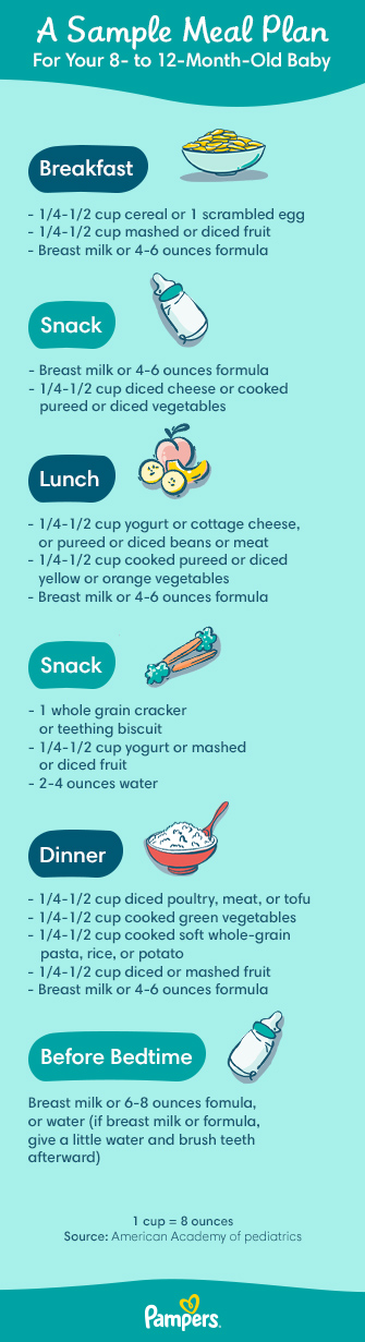 Cereal in a Bottle: Solid Food Shortcuts to Avoid