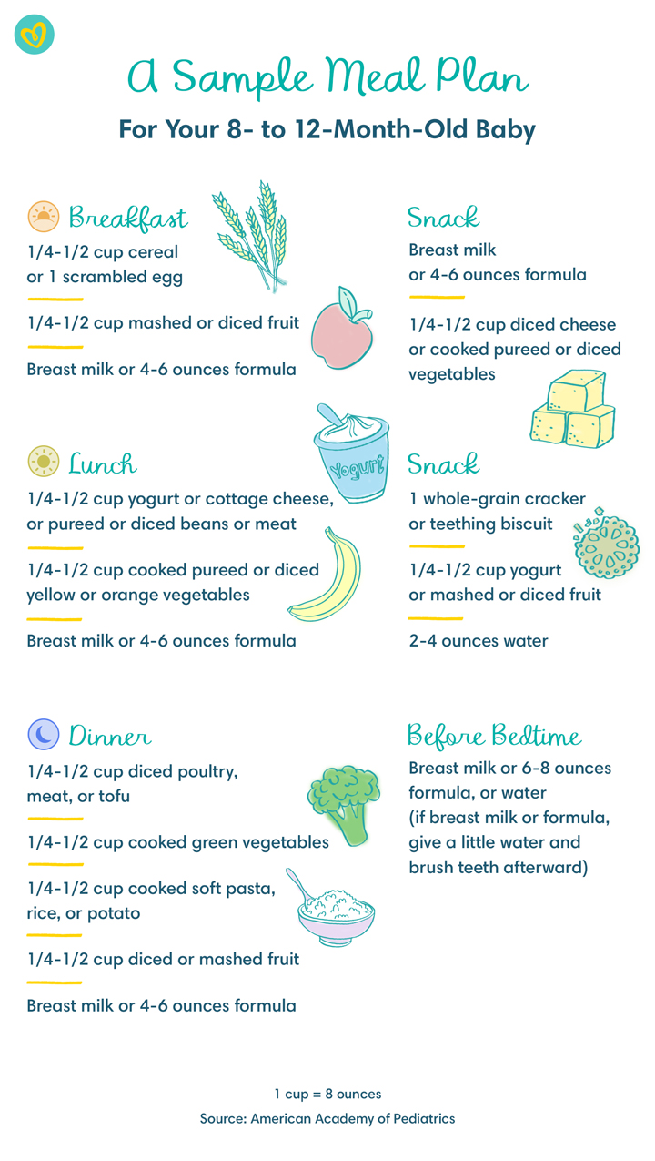 Baby Solid Foods Chart For 10 To 12 Months, 49% OFF