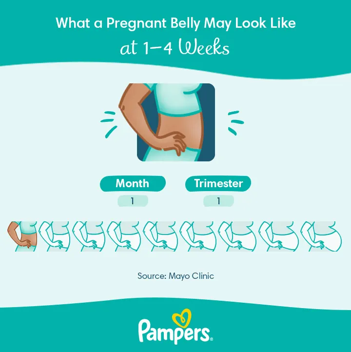 4 Weeks Pregnant: Symptoms and Baby Development | Pampers