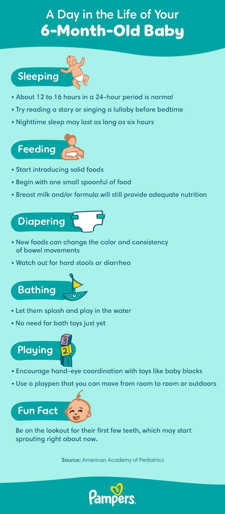 6-Month-Old Baby: Milestones, Growth, and Feeding | Pampers