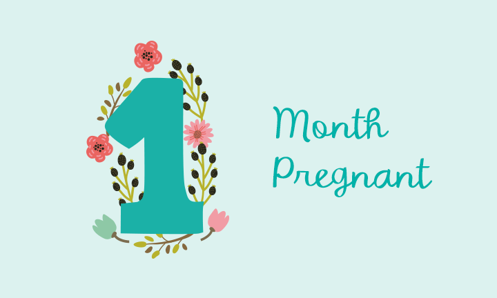 1 Month Pregnant Symptoms And Fetal Development Pampers