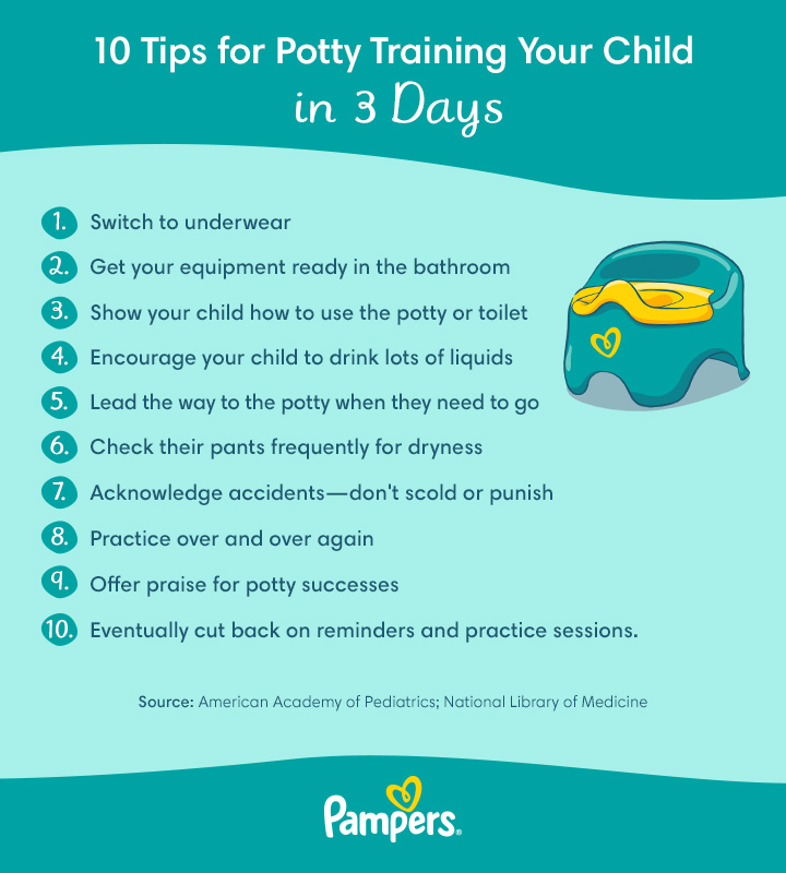 How to potty train in 3 days