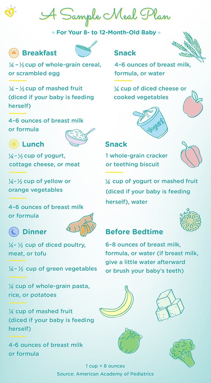 A sample meal plan for babies