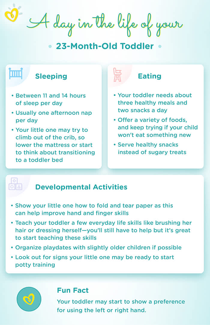 My 23 Month Old - Pregnant Center Informations