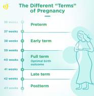 Full Term Pregnancy Explained Pampers Grain Of Sound