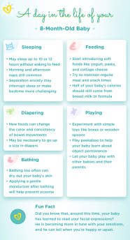 8 Month Old Baby Development Milestones Pampers