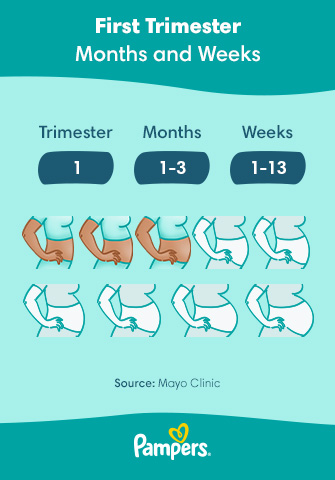 First Trimester: Symptoms and Baby Development