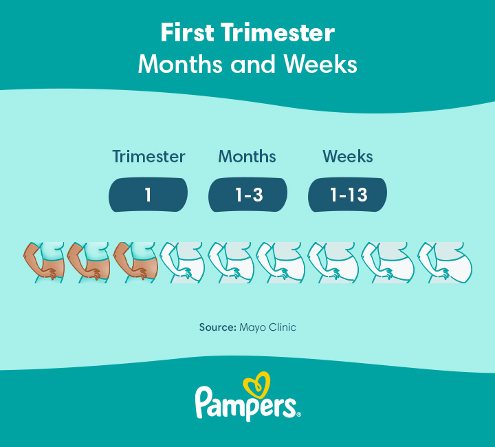Everything You Need to Know About the First Trimester of Pregnancy