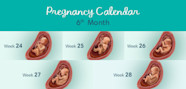 6 Months Pregnant Symptoms And Fetal Development Pampers