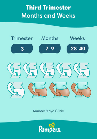 Third Trimester: Symptoms and Baby Development