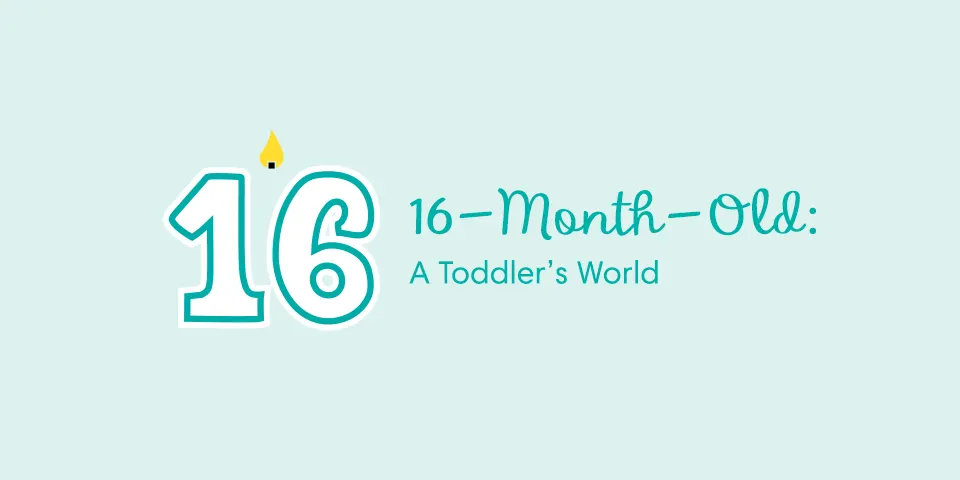 16-Month-Old: Development, Milestones, and Sleep | Pampers