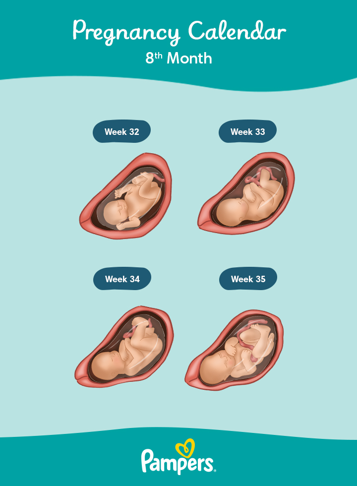 8 Months Pregnant: Symptoms and Fetal Development