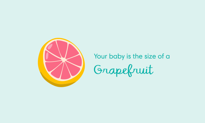 15 Weeks Pregnant Symptoms And Baby Development Pampers