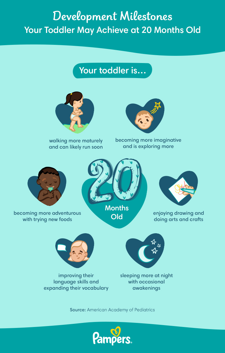 Your toddler: 20 months old - Today's Parent