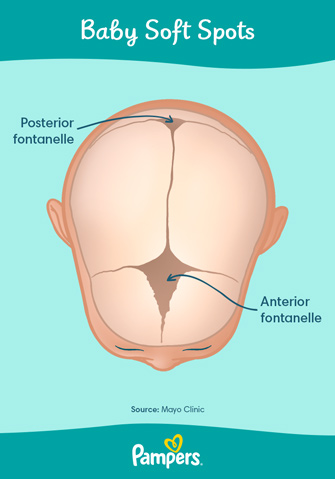 Baby Soft Spot How to Care for Your Baby s Head Pampers