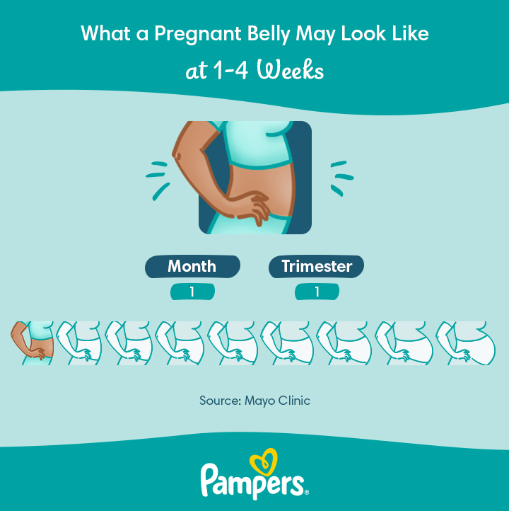 Pregnancy Weeks to Months - How Many Weeks, Months and Trimesters
