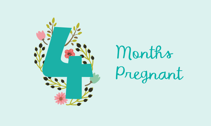4 Months Pregnant: Symptoms and Fetal Development | Pampers