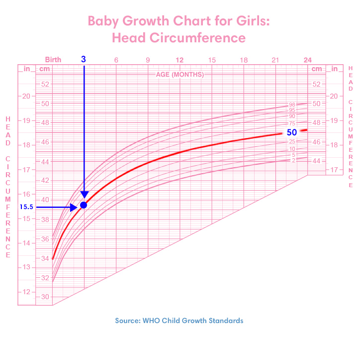 Baby Photo Height Chart Nursery Decoration Baby Products