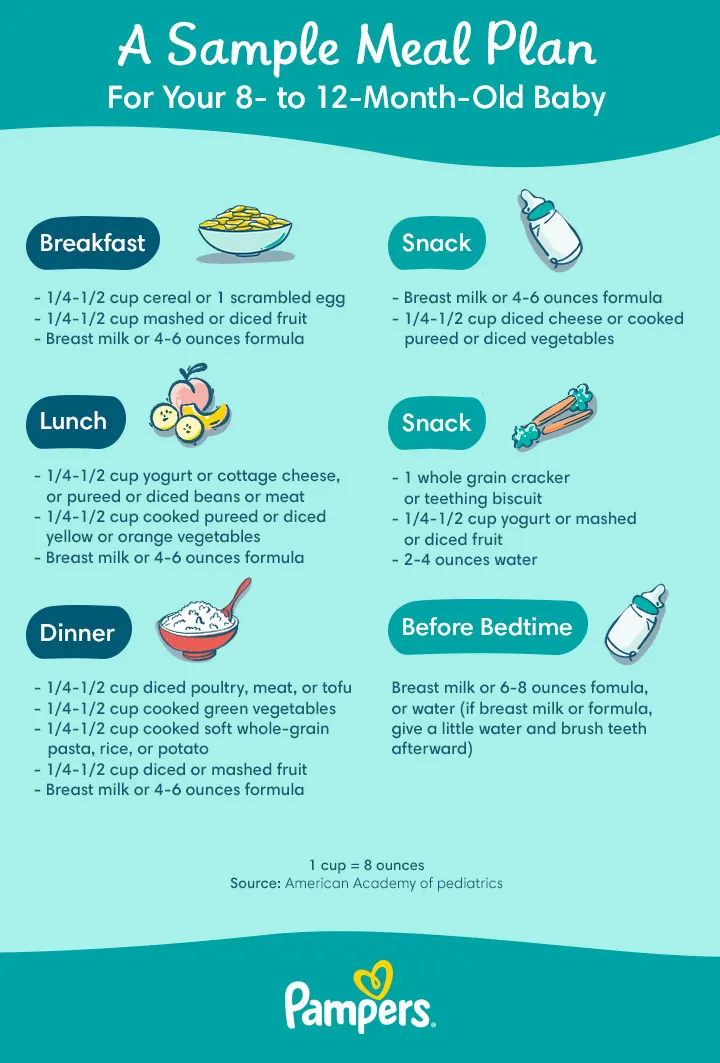 Baby Feeding Schedule & Dietary Nutrition Chart