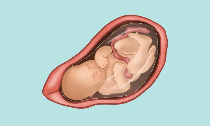 35 weeks fetus ultrasound