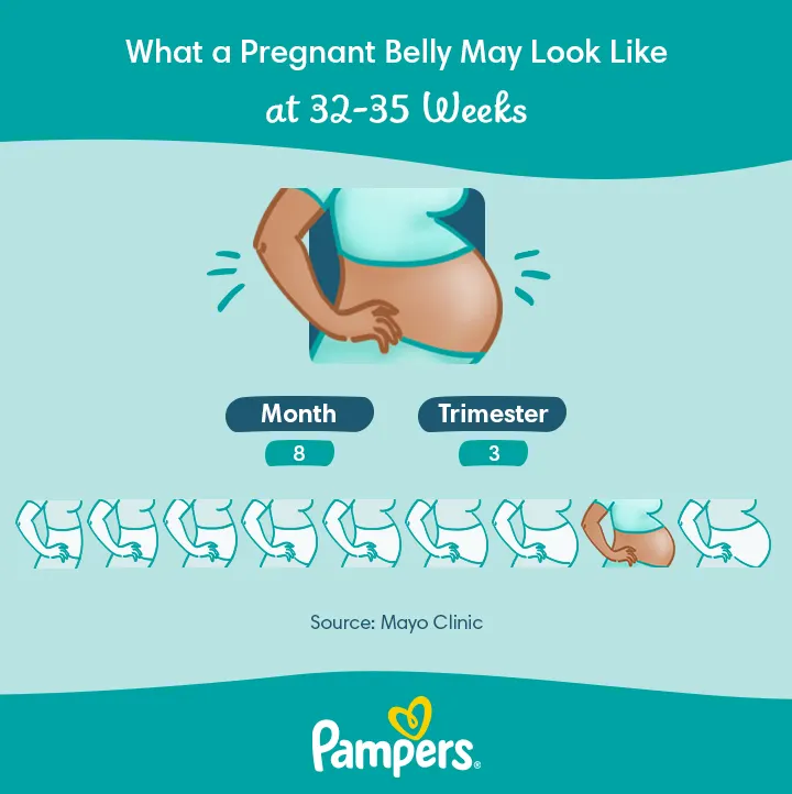 33 Weeks Pregnant: Baby Development, Symptoms & Signs