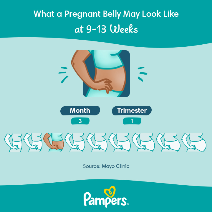 1ST TRIMESTER BELLY GROWTH & BABY DEVELOPMENT