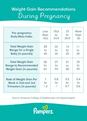 Expected Weight Gain Table during Pregnancy