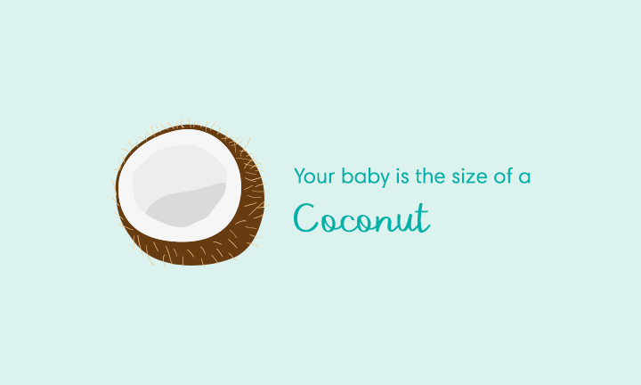 31 Weeks Pregnant Symptoms And Baby Development Pampers