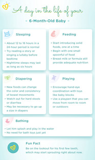 6 Month Old Baby Milestones Weight And Feeding Pampers