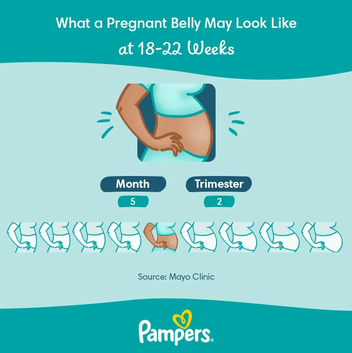 22 Weeks Pregnant: Symptoms and Baby Development