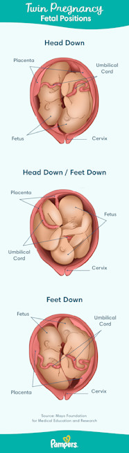 How To Find Out If Im Having Twins Headassistance3