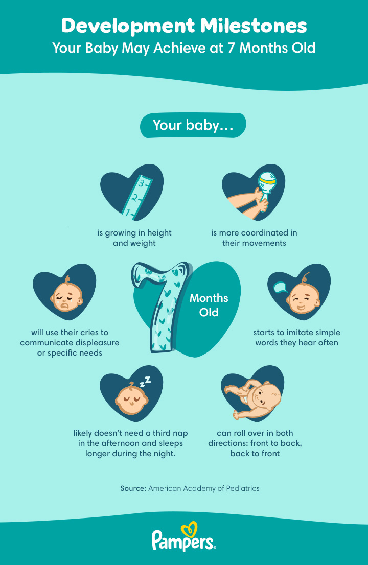 US_Pampers_BabyDevelopmentalMilestones_7_month_old_720px_20240507.jpg