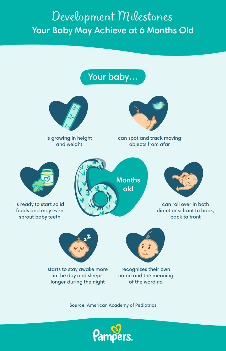 Your Baby at 6 Months, Patient Education