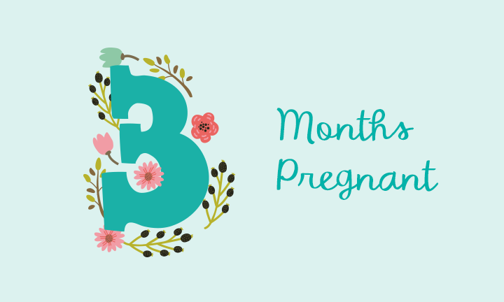 3 Months Pregnant Symptoms And Fetal Development Pampers