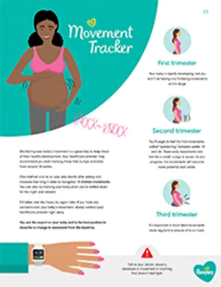 Pregnancy and Bras: The Basics