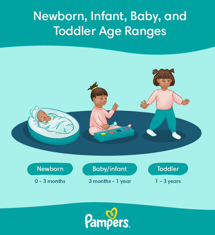 About Newborn Infant Baby Toddler Age Ranges Pampers