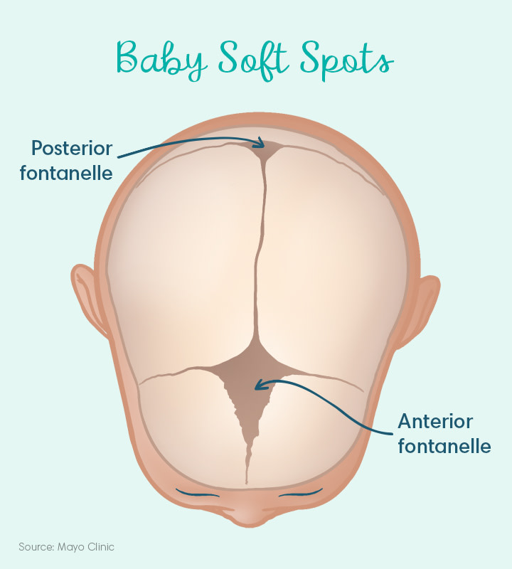 Baby Soft Spot How To Care For Your Baby S Head Pampers