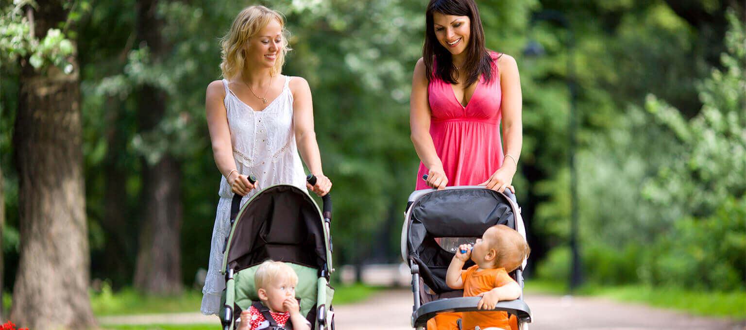umbrella stroller with harness