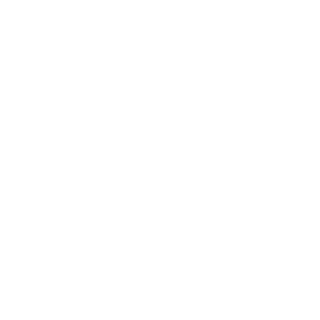 10 Zoic