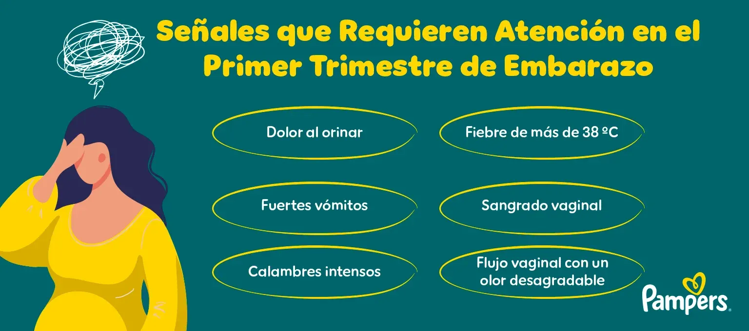 primer trimestre de embarazo