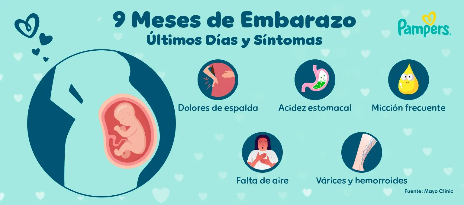 9 meses de embarazo: últimos días y síntomas