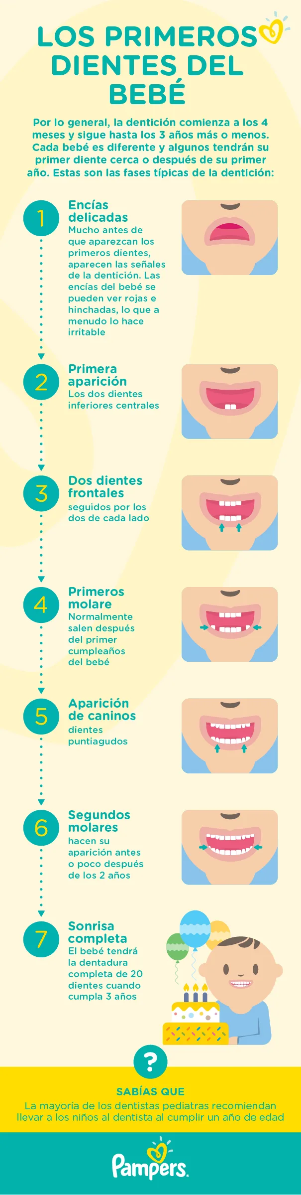 Conozca las diferentes etapas de la dentición de su bebé