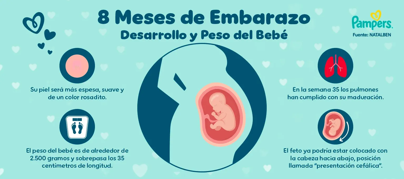 8 meses de embarazo