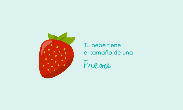 10 Semanas Tu Bebe Es Del Tamano De Una Fresa Pampers