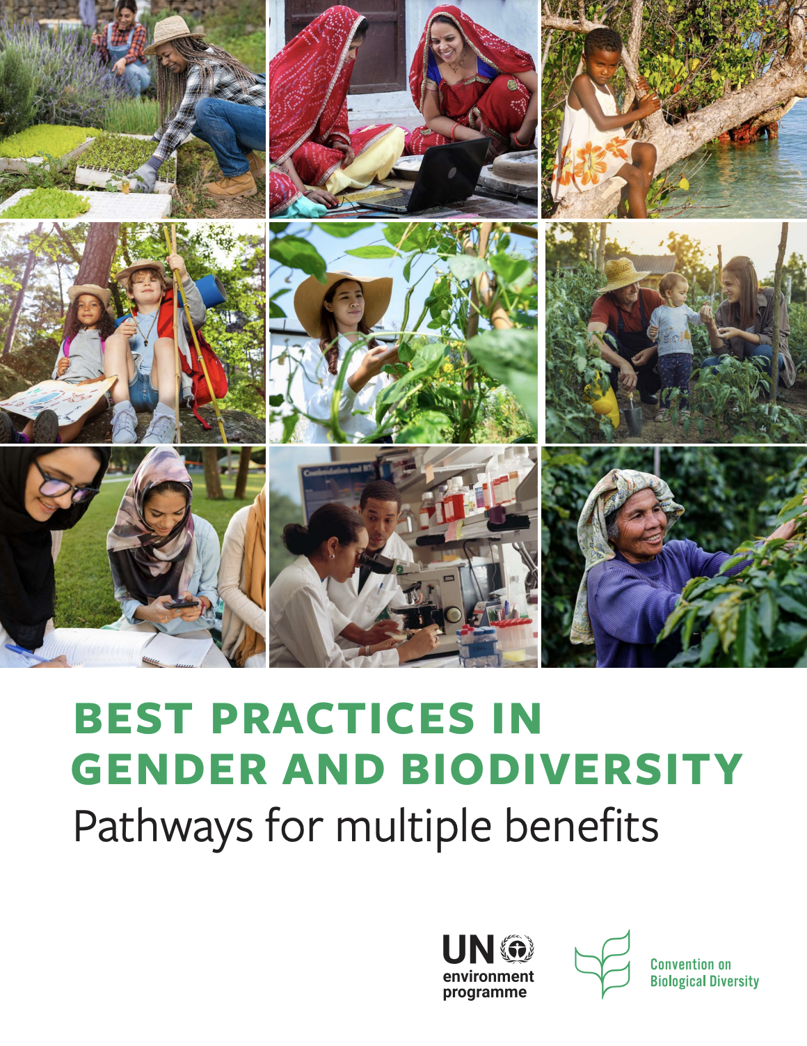Best Practices in Gender and Biodiversity: Pathways for multiple benefits cover