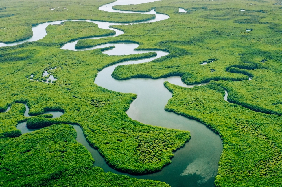 River delta
