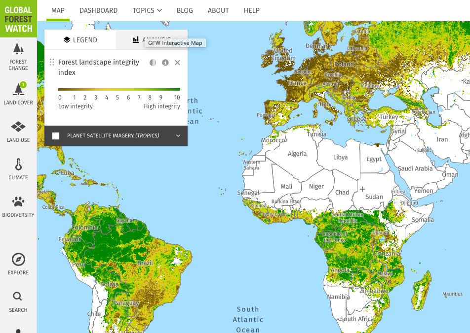 Global Forest Watch cover