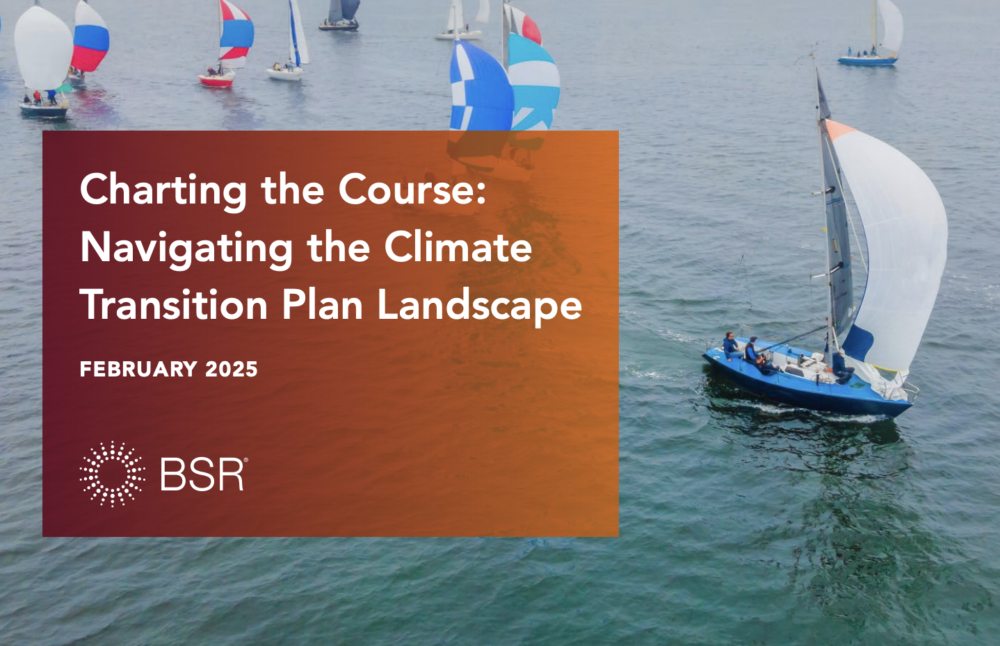 Charting the Course: Navigating the Climate Transition Plan Landscape cover